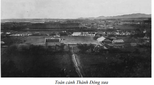 toan-canh-thanh-dong.png